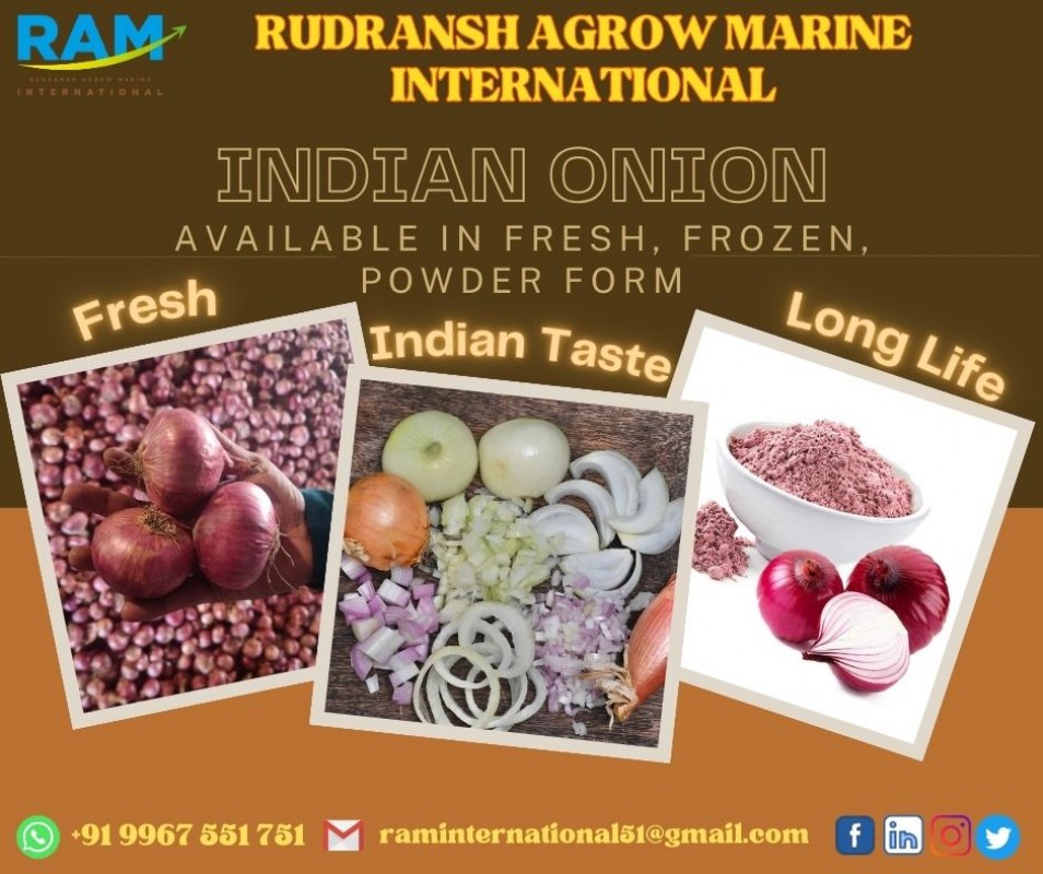 Indian Onion from India